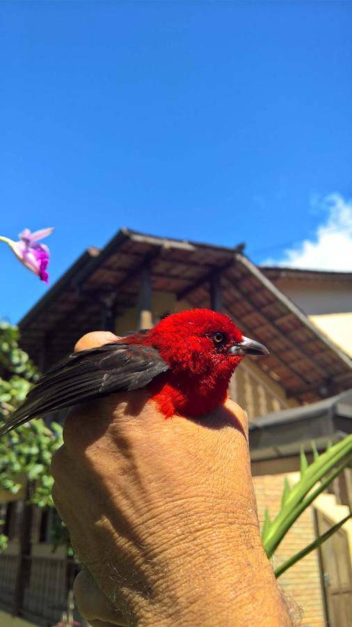 Pouso Bom Retiro Hotell Paraty Eksteriør bilde